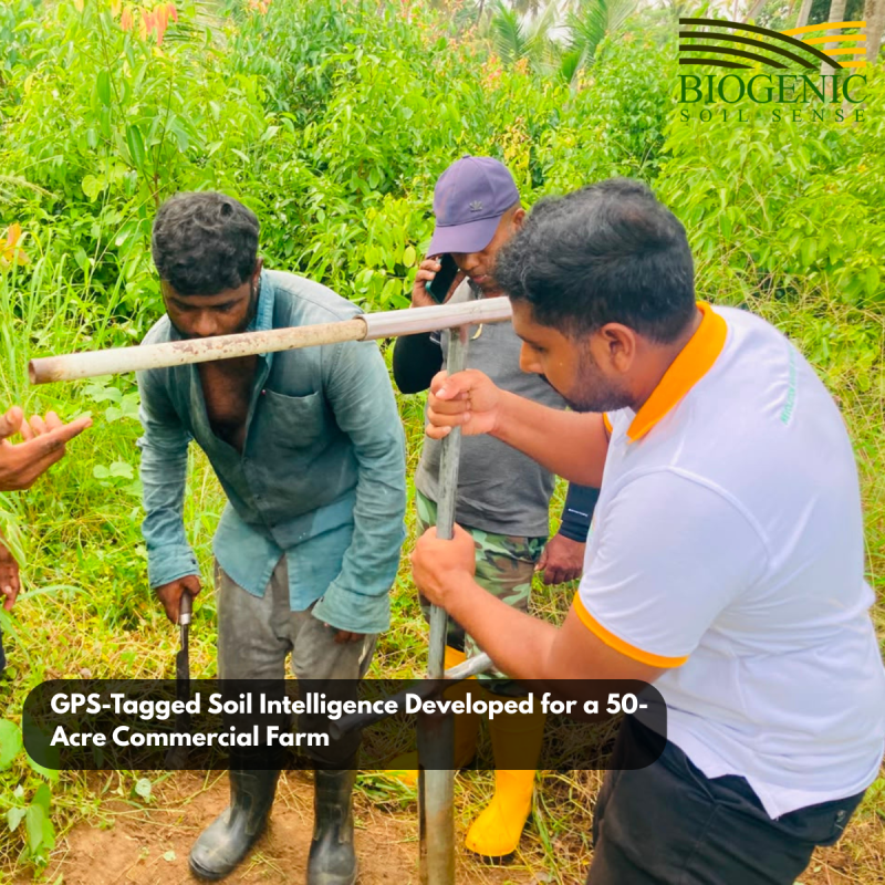 GPS-Tagged Soil Intelligence Developed for a 50-Acre Commercial Farm

