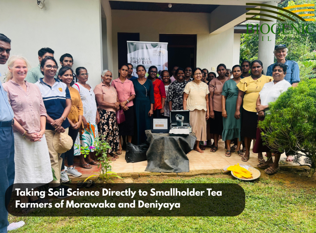 Taking Soil Science Directly to Smallholder Tea Farmers of Morawaka and Deniyaya